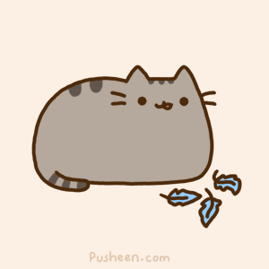 Twitter-pusheen-the-cat-28736016-300-300.gif