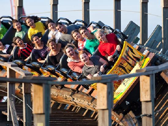 gwazi.jpg
