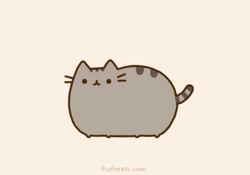 tumblr_ly4m2qWEpw1qhy6c9o2_r1_500.gif