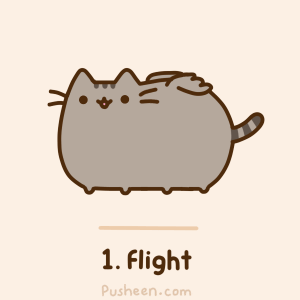 tumblr_m92yj8Ysy51qhy6c9o2_400.gif