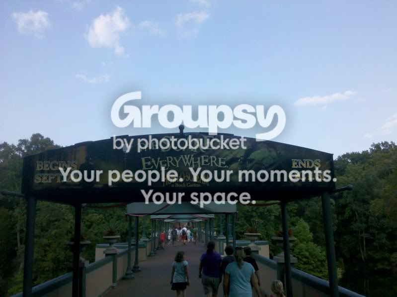 IMG_20100823_175126.jpg