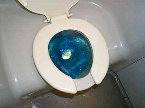 toilet.jpg