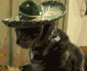 1sxAD5O.gif