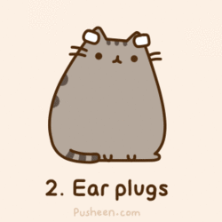 earplugs.gif