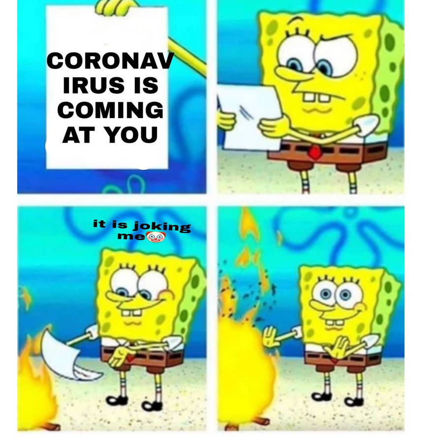 39345020.jpg